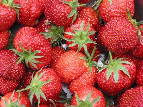 Zijn aardbeien gezond?