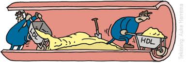 Hoog cholesterol