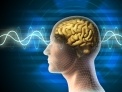 Lichaamsbeweging belangrijk voor cognitieve functies