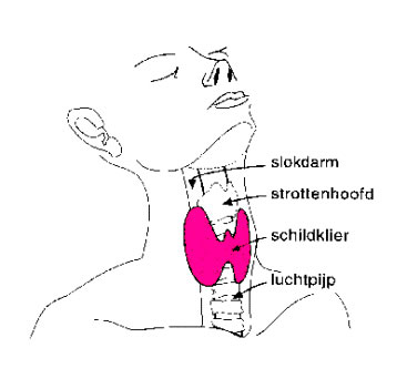 Hyperthyreoïdie
